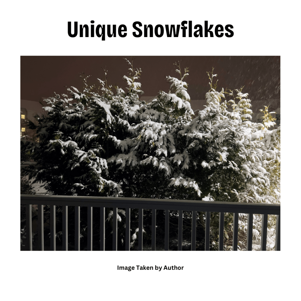 The Adventures of the Southern Girl and her time in the&nbsp;North: