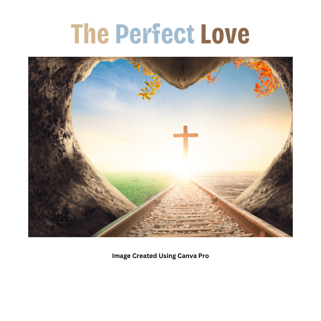 The Perfect Love