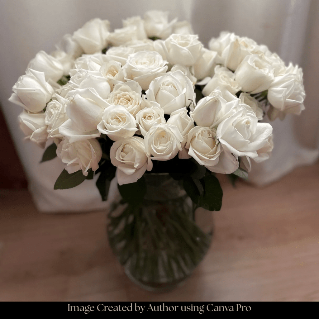 Give Me My&nbsp;Roses